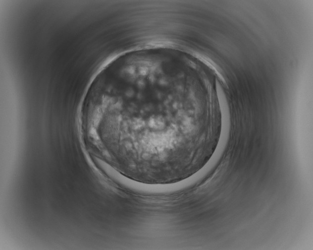 X0000115131047200911241442