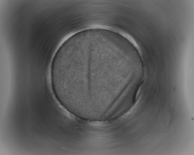 X0000115131048200911241442