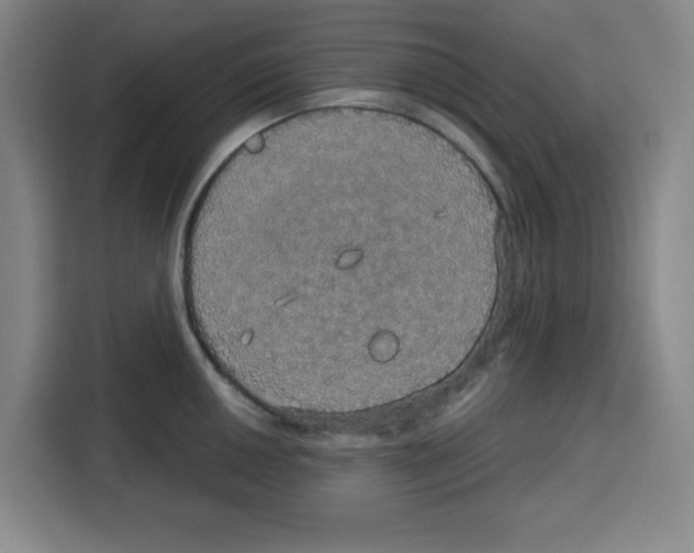 X0000115131050200911241442