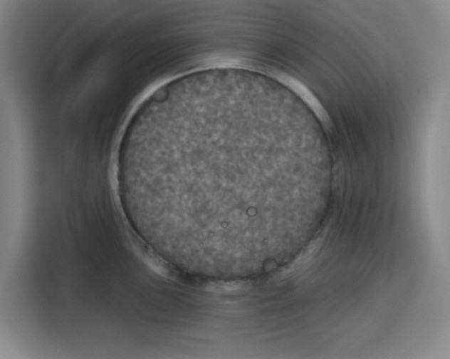 X0000115131051200911241442