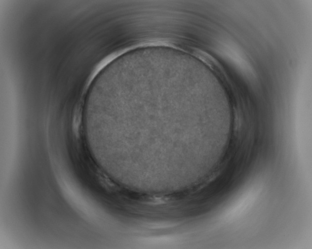 X0000115131052200911241442