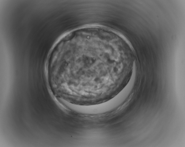 X0000115131054200911241442