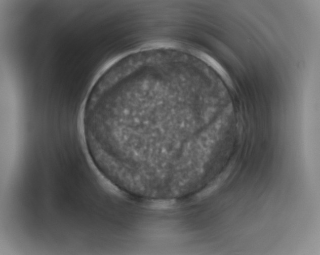 X0000115131055200911241442