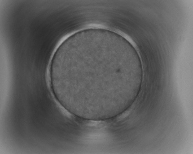 X0000115131056200911241442