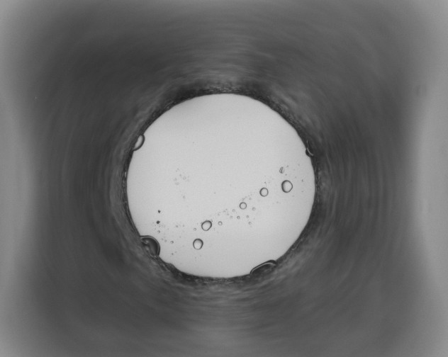 X0000115131057200911241441