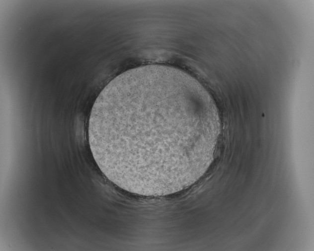 X0000115131058200911241441