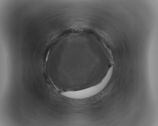 X0000115131060200911241441