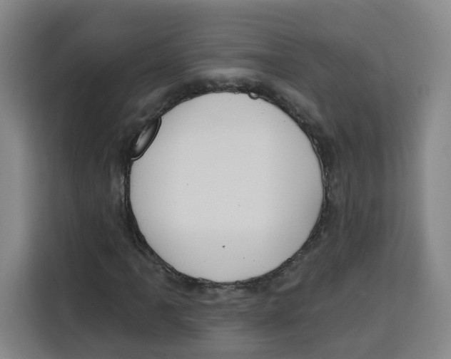 X0000115131061200911241441