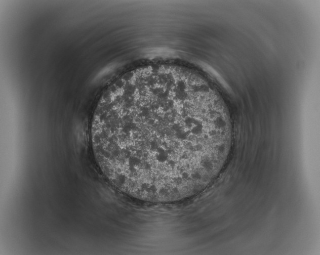 X0000115131063200911241441