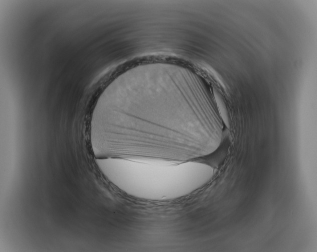 X0000115131064200911241441
