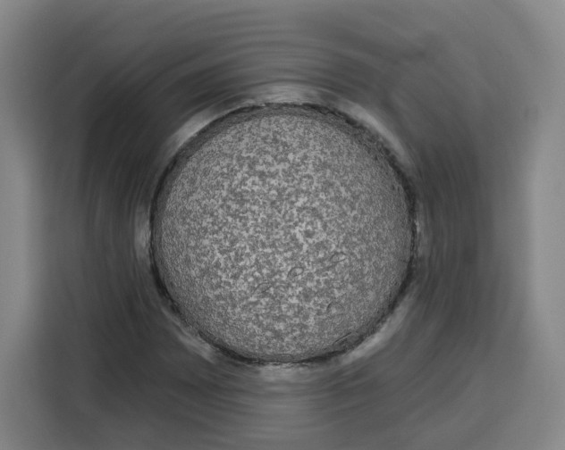X0000115131065200911241441