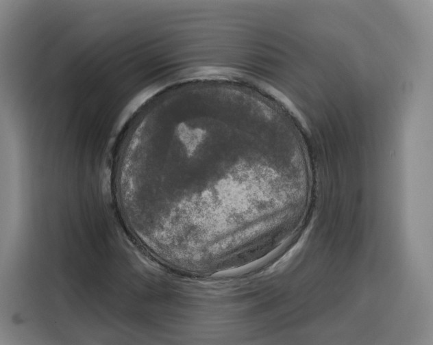 X0000115131066200911241441