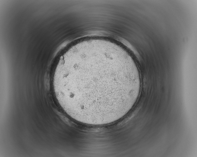 X0000115131067200911241441