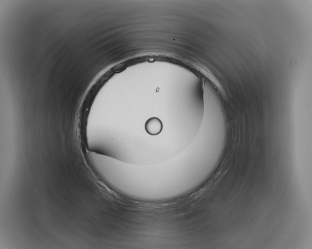 X0000115131068200911241441