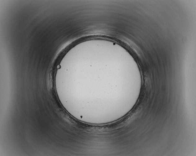 X0000115131069200911241441