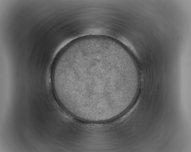 X0000115131070200911241441