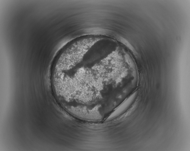 X0000115131071200911241441