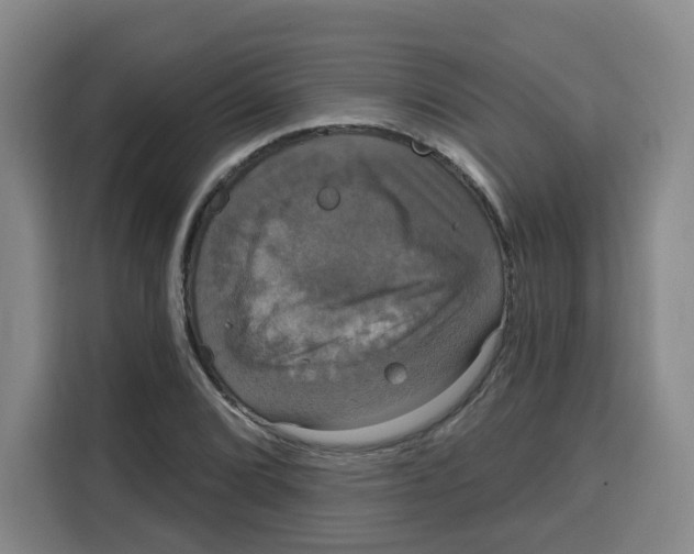 X0000115131072200911241441