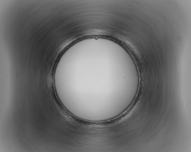 X0000115131073200911241441