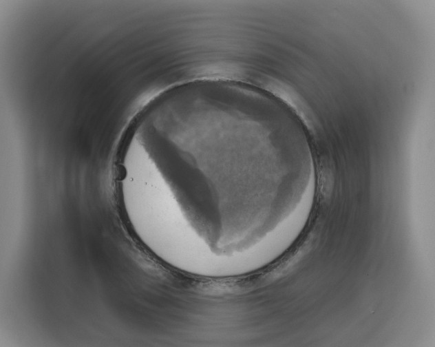 X0000115131074200911241441