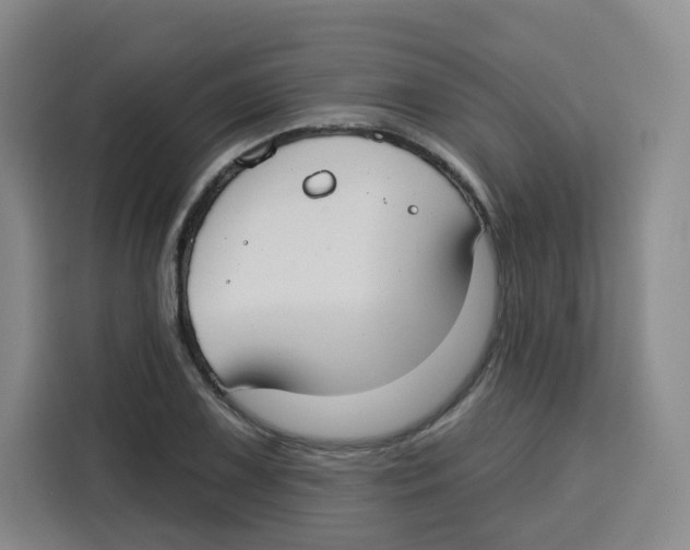 X0000115131075200911241441