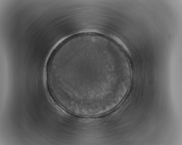 X0000115131076200911241441
