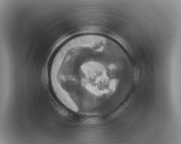 X0000115131078200911241441