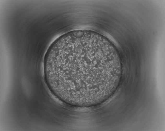 X0000115131079200911241441