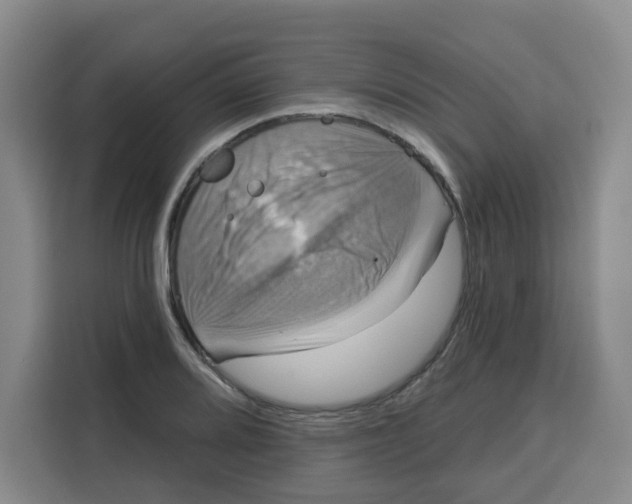 X0000115131080200911241441