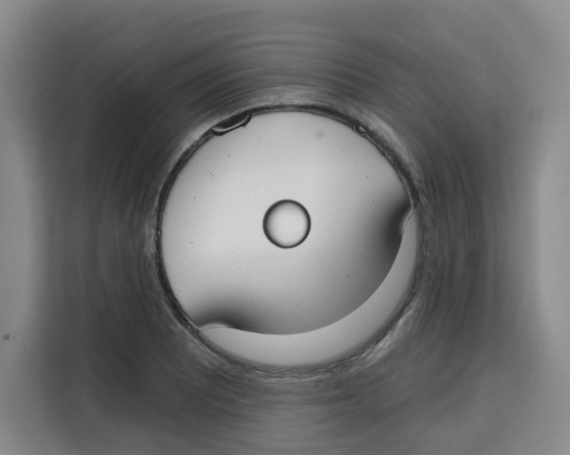 X0000115131081200911241441
