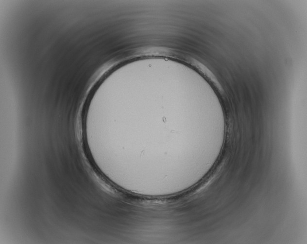 X0000115131082200911241441