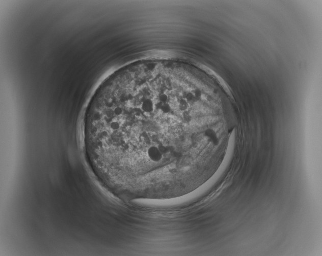 X0000115131083200911241441