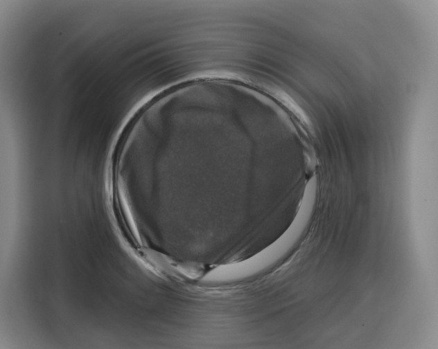 X0000115131084200911241441