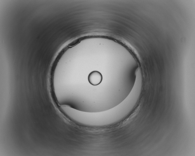 X0000115131085200911241441