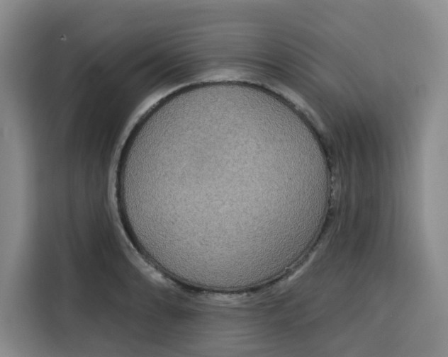 X0000115131086200911241441