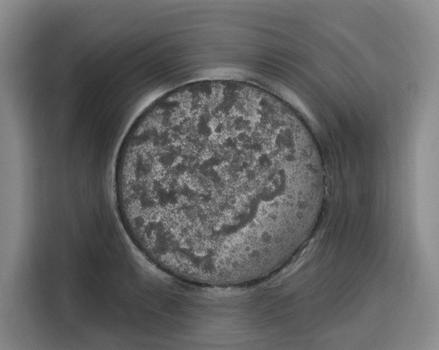 X0000115131087200911241441