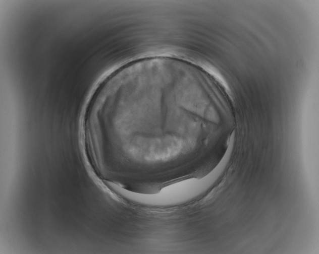X0000115131088200911241441