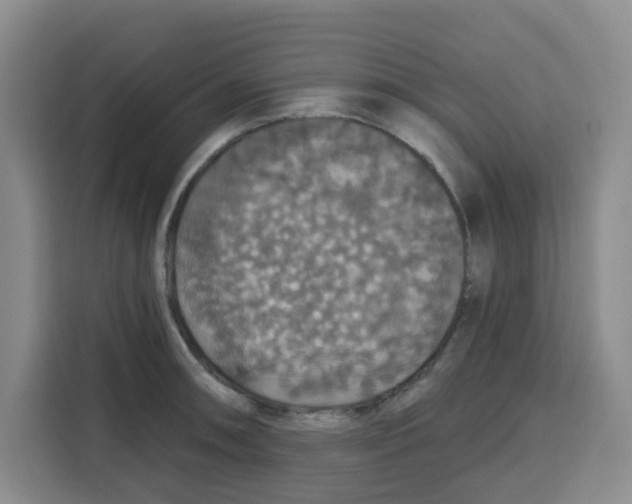 X0000115131090200911241441