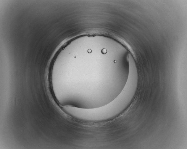 X0000115131091200911241441