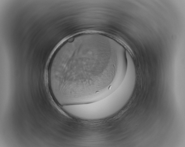 X0000115131092200911241441