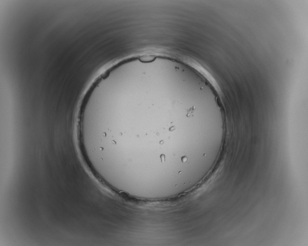 X0000115131093200911241441