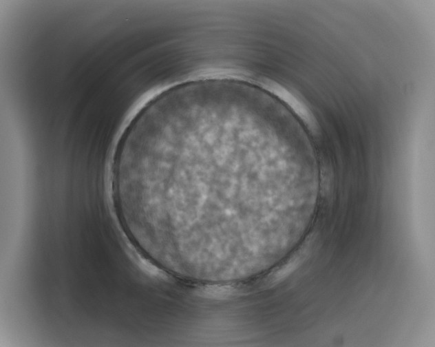 X0000115131094200911241441