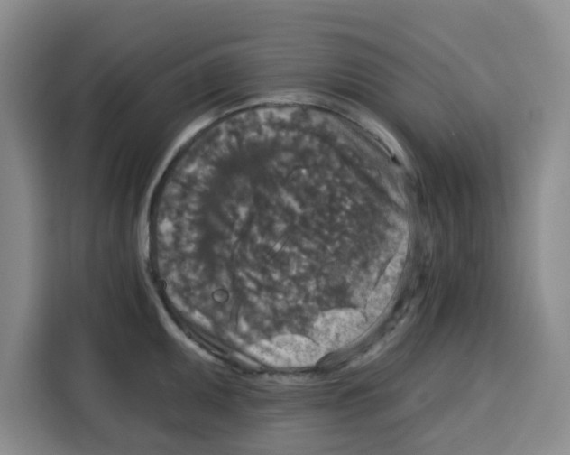 X0000115131095200911241441