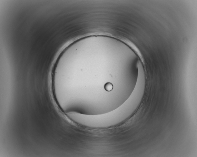 X0000115131096200911241441