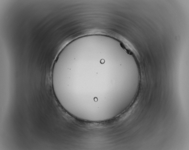 X0000115131097200911241441