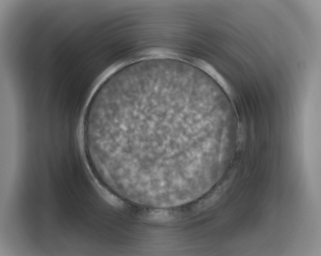 X0000115131098200911241441