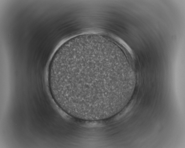 X0000115131099200911241441