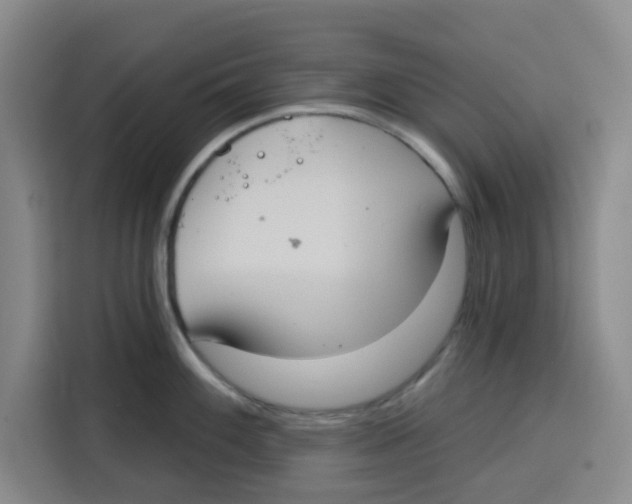 X0000115131100200911241441