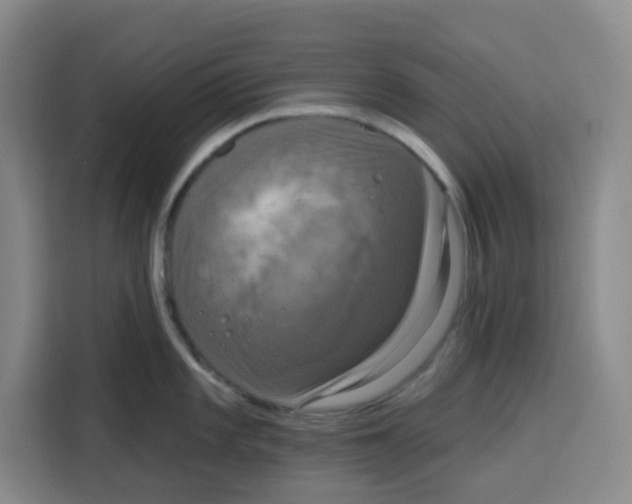 X0000115131101200911241441