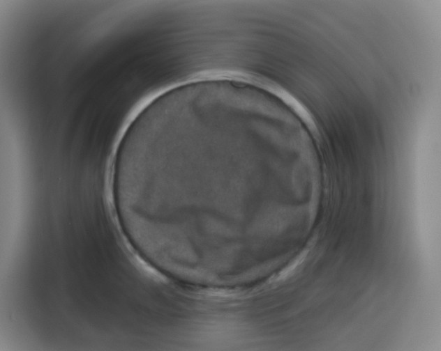 X0000115131102200911241441
